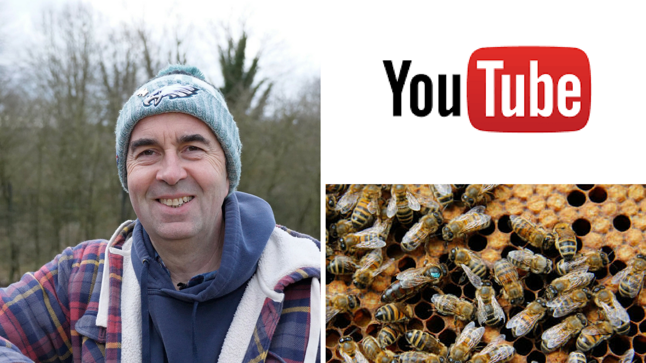 Stewart's Beekeeping Basics